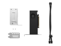 NVIDIA RTX 2000 Ada 16GB