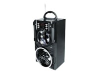 Media-Tech PARTYBOX BT MT3150 Transportabel karaoke Sort