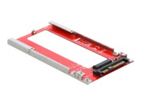 DeLOCK U.2 to M.3 / NF1 Converter Interfaceadapter