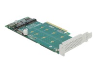 DeLOCK PCI Express x8 Card to 2 x internal NVMe M.2 Key M - Bifurcation Lagringskontrol