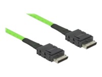 DeLOCK OCuLink Serial Attached SCSI (SAS) internt kabel Grøn 1m
