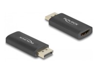 Delock Videoadapter Sort