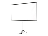 Epson ELPSC21 80'