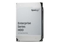 Synology Harddisk HAS5310 20TB 3.5' Serial Attached SCSI 3 7200rpm