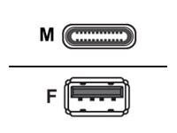 Prokord USB-C adapter 15cm Sort