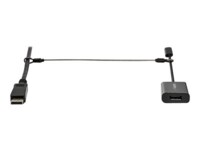 StarTech.com 10-Pack Security Cable Tethers for Adapters & Dongles, Universal Cable Adapter Tether, Tether Cables, Adjustable Length Anti-Theft Cable Tether Lock Kit, Steel Cable Tether - Dongle Cable Tether (CONNLOCKPK10) Sikkerhedskabel