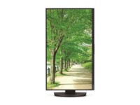Sharp MultiSync EA241F 24' IPS 1920 x 1080 (Full HD) HDMI DisplayPort 60 Hz
