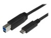 StarTech.com USB C to USB B Printer Cable - 6 ft / 2m - USB C Printer Cable - USB C to USB B Cable - USB Type C to Type B (USB315CB2M) USB-kabel 2m Sort