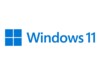 Windows 11 Pro Tysk