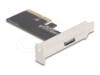Delock Interfaceadapter