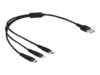 Delock Kun opladning Lightning-kabel 30cm Sort