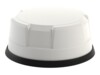 Sierra Wireless AirLink Antenne 8cm Hvid