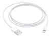 Apple Lightning-kabel 1m