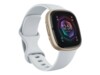 Fitbit Sense 2 Blå Guld SmartWatch