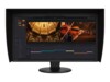 EIZO ColorEdge CG3100X 77,5 cm (30.5') IPS 4096 x 2160 pixel HDMI DisplayPort 60 Hz