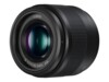 Panasonic Lumix G H-H025E Objektiv