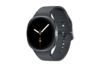 Samsung Galaxy Watch8 44 mm Grå SmartWatch