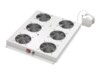 DIGITUS Professional DN-19 FAN-4-SRV Racktag med 2 blæsere 1-pack Grå