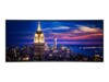 DELL UltraSharp U5226KW_WOS 132,1 cm (52') IPS Black 6144 x 2560 pixel HDMI DisplayPort 120 Hz