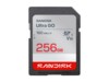 SanDisk Ultra GO SDXC 256GB 190MB/s