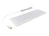 KeySonic KSK-6031INEL-Wh Tastatur Blå Kabling Tysk