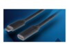 Lanberg USB 3.1 Gen 1 USB Type-C forlængerkabel Sort