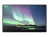Ricoh 150 15.6' 1920 x 1080 (Full HD) USB-C 60Hz