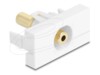 Delock Easy 45 Module stereo jack female 3.5 mm 3 pin to stereo jack female 3.5 mm 3 pin gold plated white