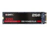 EMTEC SSD Power SSD X250 256GB M.2 SATA-600