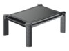 TECHly Monitor Riser Monitor/notebook/printer Stativ
