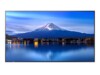 P506 50IN LFD UHD 700CD/M2 D-LE