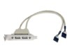 StarTech.com 2 Port USB A Female Low Profile Slot Plate Adapter - 2 Port USB Bracket - USB 2.0 A Female (USBPLATELP) USB-panel