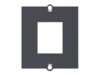 Bachmann Faceplate