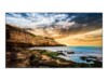 Samsung QE50T 50' Digital skiltning 3840 x 2160