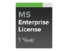 Cisco Meraki Enterprise Online & komponentbaserede tjenester 1 år