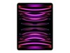 Apple 12.9-inch iPad Pro Wi-Fi 12.9' 1TB 16GB