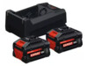 Bosch Starter Set (2xEXBA18V-55,GAL; C)