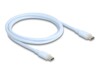 Delock USB Type-C kabel 1m Blå