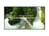 LG 55UL3Q-E 55' Digital skiltning 3840 x 2160