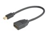 Prokord Videoadapter