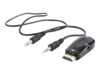 Cablexpert Video transformer
