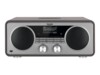 TechniSat DigitRadio 602 Grå Sølv