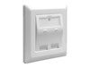 Delock Keystone Wall Outlet Hvid