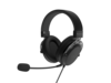 GENESIS Toron 301 Kablet Hovedtelefoner Sort