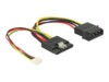 Delock Strømforsyningsadapter 15cm Sort