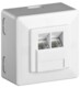 Wentronic Hvid
