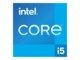 Intel CPU Core I5-13600KF 3.5GHz 14-kerne LGA1700 (WOF - u/køler)
