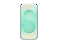 Miniatyr 10