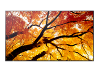 Sharp MODEL PN-M432, 43' M-Series Large Format Display, UHD, 550cd/m2, D-LED backlight, 24/7 proof, SDM Slot, CM-Slot