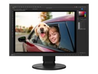 EIZO ColorEdge CS2400R 24' IPS 1920 x 1200 (WUXGA) HDMI DisplayPort USB-C